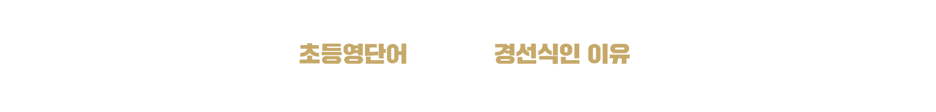 초등영어 강점 타이틀 pc