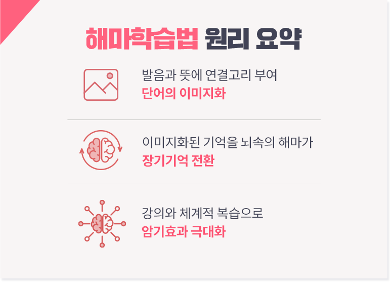 해마학습법 원리 요약 pc